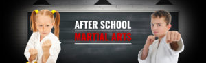 after school martial arts
